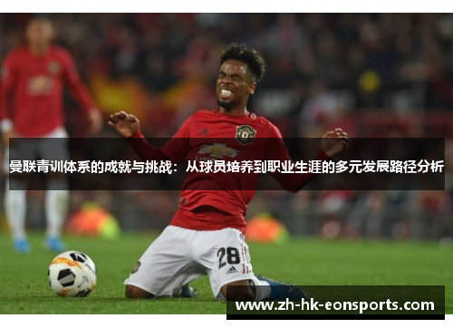曼联青训体系的成就与挑战：从球员培养到职业生涯的多元发展路径分析