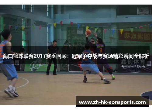 海口篮球联赛2017赛季回顾：冠军争夺战与赛场精彩瞬间全解析