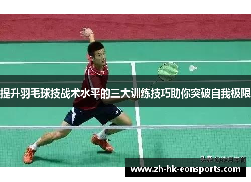 提升羽毛球技战术水平的三大训练技巧助你突破自我极限