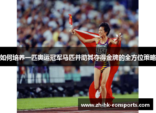 如何培养一匹奥运冠军马匹并助其夺得金牌的全方位策略