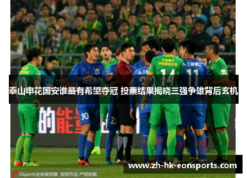 泰山申花国安谁最有希望夺冠 投票结果揭晓三强争雄背后玄机