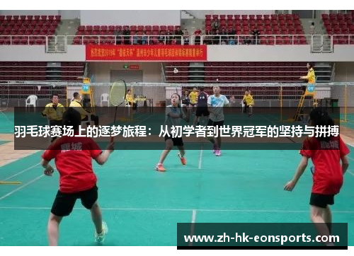 羽毛球赛场上的逐梦旅程：从初学者到世界冠军的坚持与拼搏